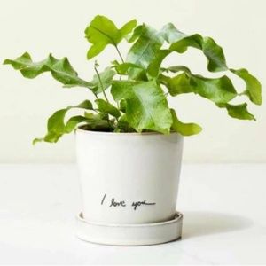COPY - Hearth and Hand Stoneware "I Love You" Pot